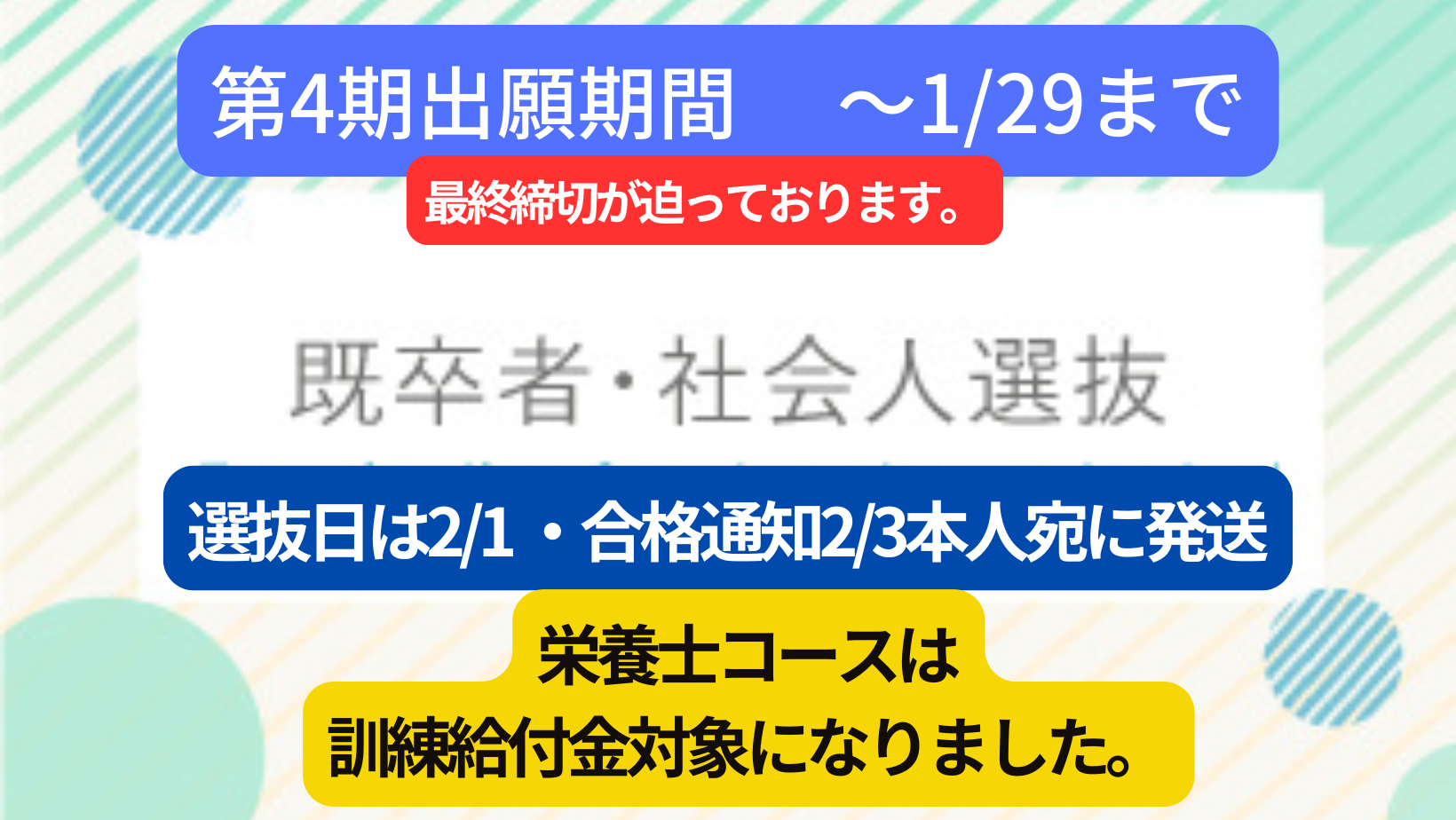 既卒者・社会人選抜