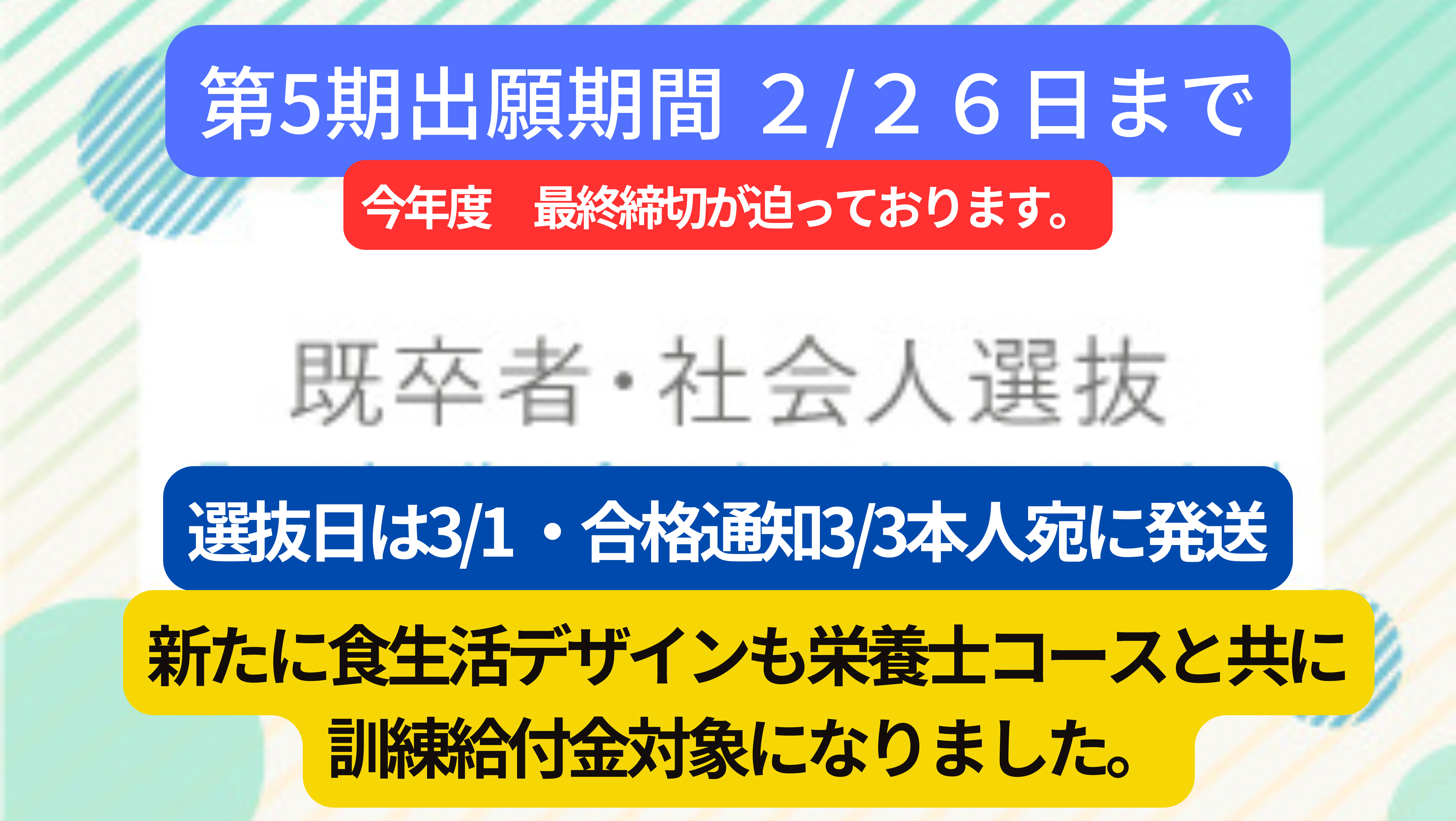 既卒者・社会人選抜